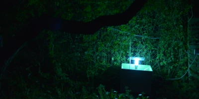 Een lichtval op bezoek in de Grenstuin