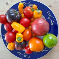 link naar blog: Herfstblog terugblik 2025